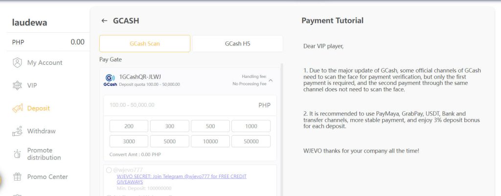 Fill in deposit information